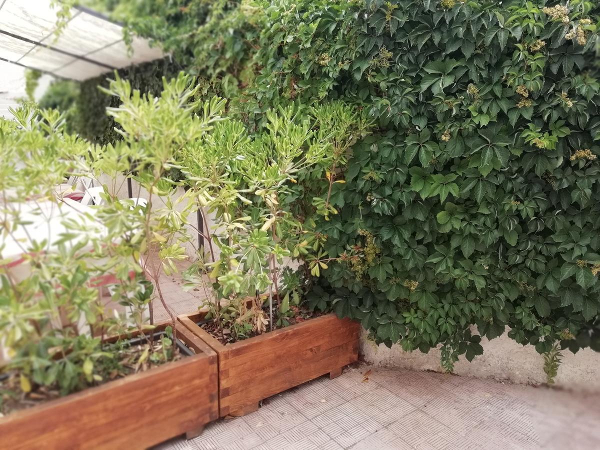 Hotel Noto Marina Stella Marina - B&B Lido di Noto Eksteriør bilde